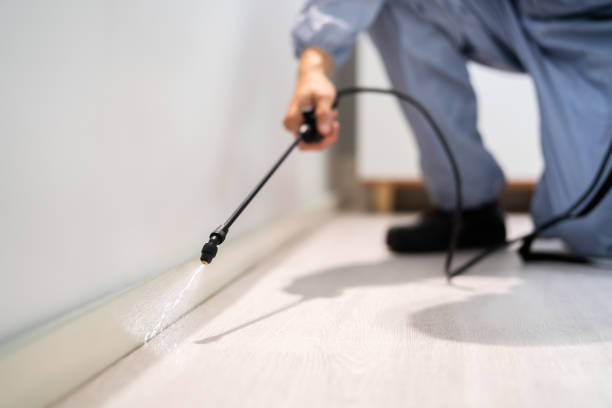 Licensed Mosquito Control service in Pea Ridge, WV - Show Me Pest Control