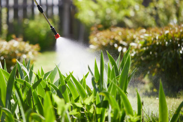 24/7 Emergency Mosquito Control experts in Pea Ridge, WV